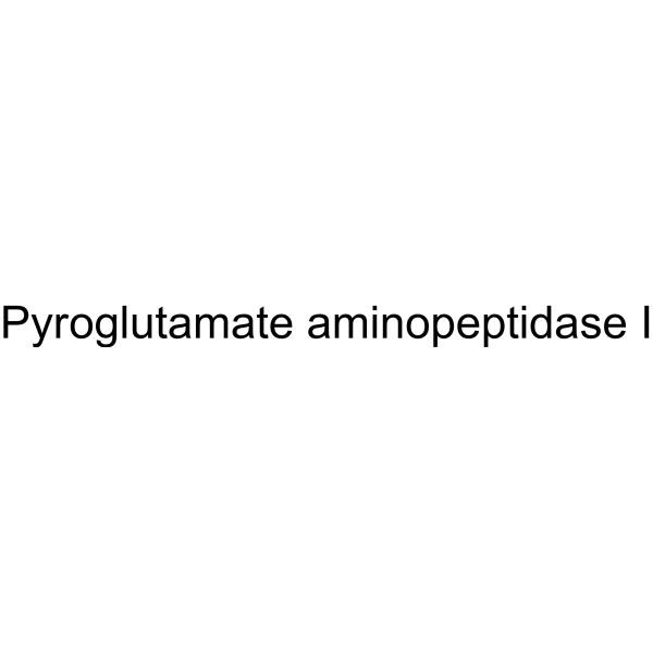 Pyroglutamate aminopeptidase I 9075-21-2